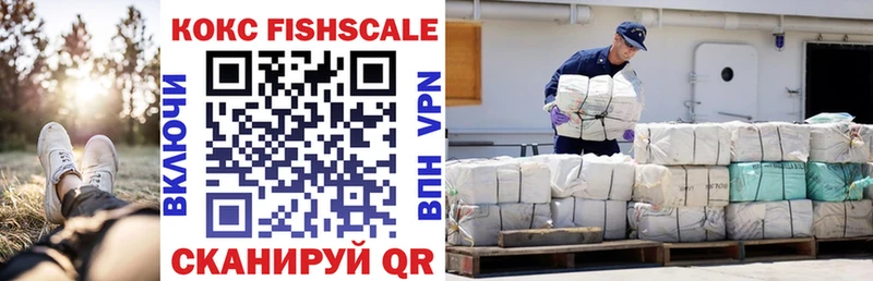 COCAIN Fish Scale  Купить  Голицыно 