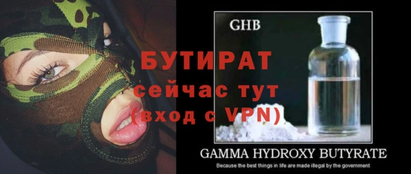 хмурый Бородино