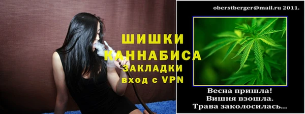 хмурый Бородино