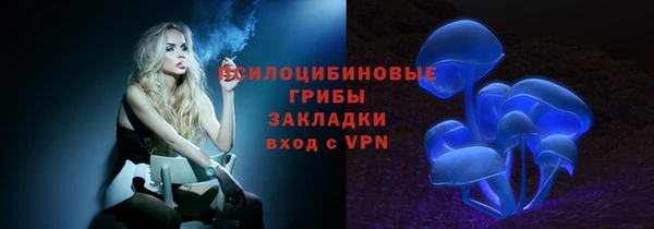 хмурый Бородино