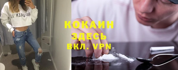хмурый Бородино