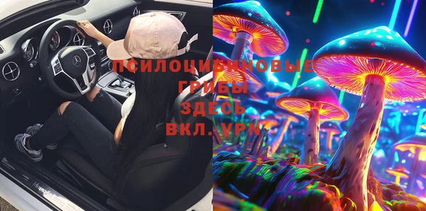 хмурый Бородино