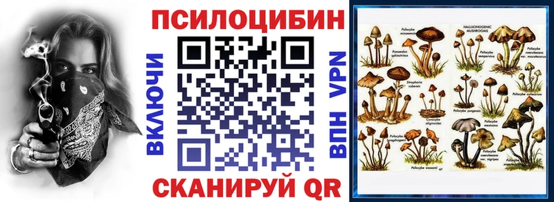 Псилоцибиновые грибы мицелий  Купить где  Голицыно 